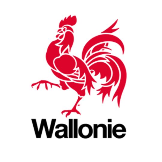 Wallonie : La région augmente "L'offre de répit" dans son plan de relance