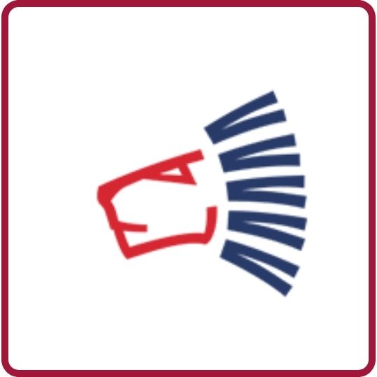 Vignette représentant le logo de Český PARA sport