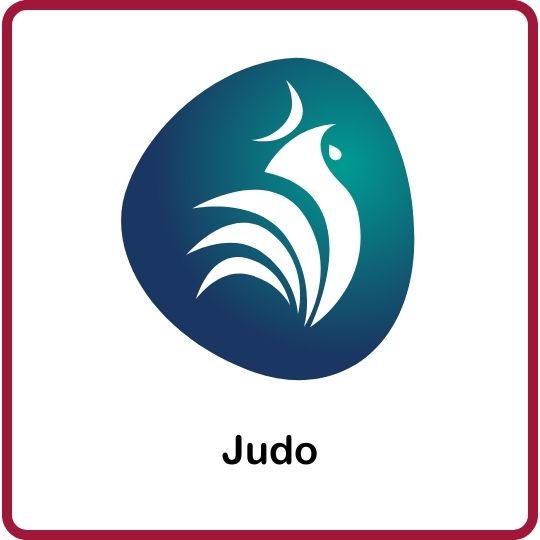 Vignette représentant le judo