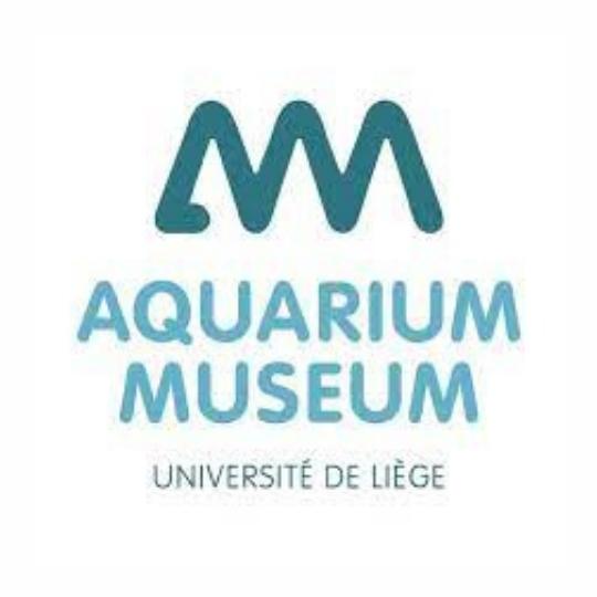 L’Aquarium-Muséum de Liège propose une nouvelle offre de visite