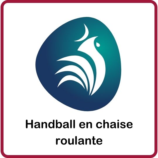 Vignette représentant le handball en chaise roulante