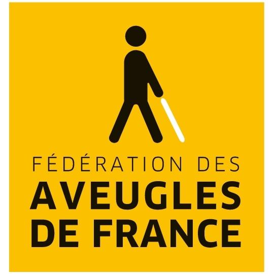 France : Manque d’accessibilité des plateformes gouvernementales